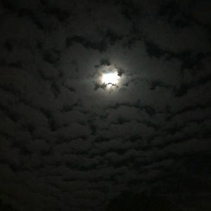 Meet your Posher, Shalesh